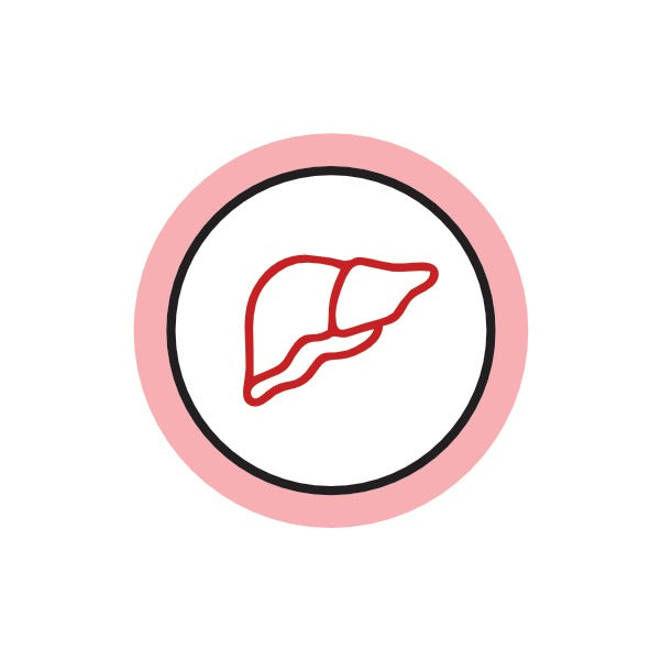 Liver Health