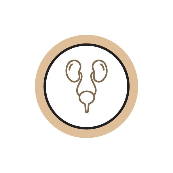 Urinary Tract Health,UTI