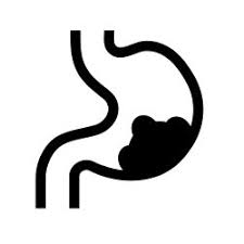 Gastric Health