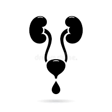 Urinary Tract Health,UTI