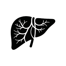 Liver Health
